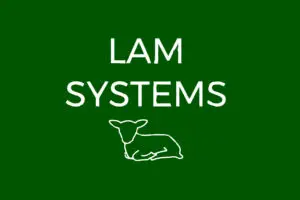 Lam Systems - Logo